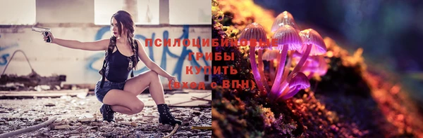 apvp Зерноград