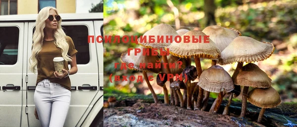 mdpv Зеленодольск