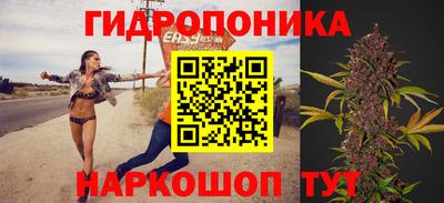 PSILOCYBIN Баксан