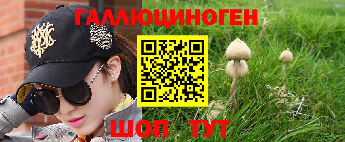 Псилоцибиновые грибы Cubensis  Вход с VPN  Тейково 